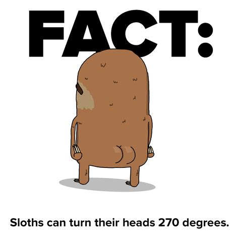 facts gif|funny fun facts gif.